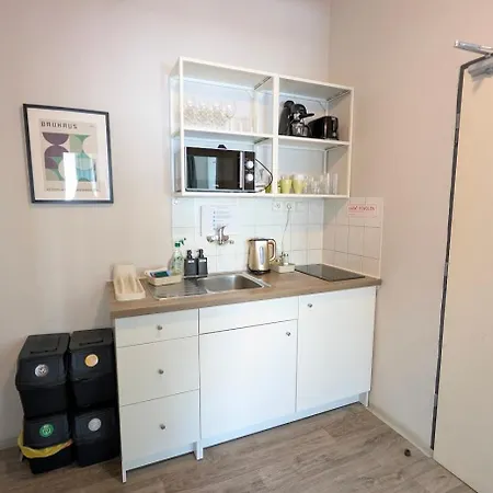 Flat In Zizkov With Free Underground Parking -501- Daire *