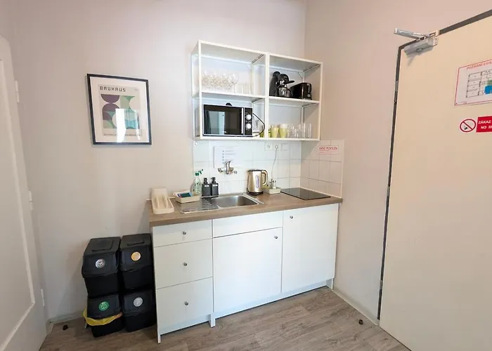 Flat In Zizkov With Free Underground Parking -501- Daire *