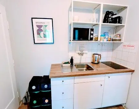 Apartment Flat In Zizkov With Free Underground Parking -501- *